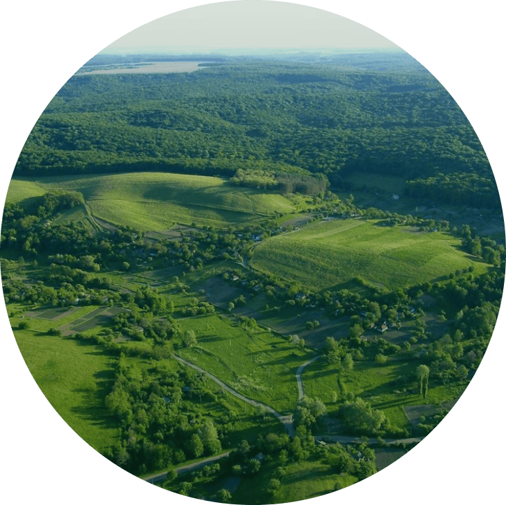 Холодний Яр